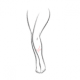 VL-FV - Leg Veins Small Area - Single Session